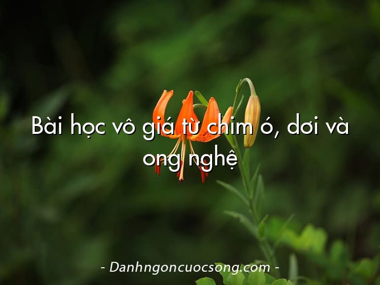 Bài học vô giá từ chim ó, dơi và ong nghệ