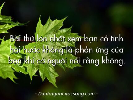 Bài thử lớn nhất xem bạn có tính hài hước không là phản ứng của bạn khi có người nói rằng không.