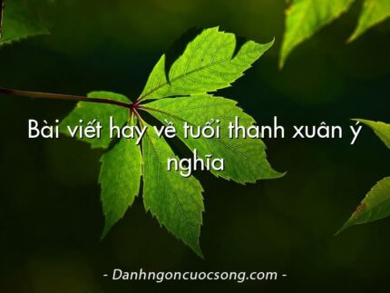 Bài viết hay về tuổi thanh xuân ý nghĩa
