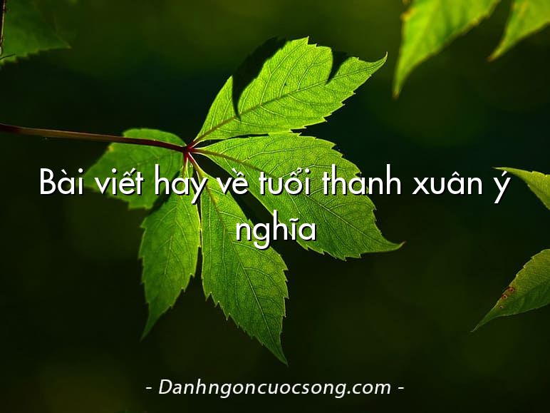 Bài viết hay về tuổi thanh xuân ý nghĩa