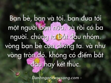 Bạn bè, bạn và tôi. bạn đưa tới một người bạn nữa. và rồi có ba người. chúng ta bắt đầu nhóm. vòng bạn bè của chúng ta. và như vòng tròn đó. không có điểm bắt đầu hay kết thúc.
