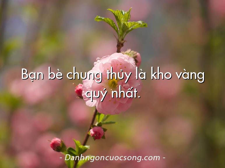 Bạn bè chung thủy là kho vàng quý nhất.