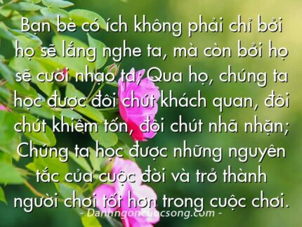 Bạn bè có ích không phải chỉ bởi họ sẽ lắng nghe ta, mà còn bởi họ sẽ cười nhạo ta; Qua họ, chúng ta học được đôi chút khách quan, đôi chút khiêm tốn, đôi chút nhã nhặn; Chúng ta học được những nguyên tắc của cuộc đời và trở thành người chơi tốt hơn trong cuộc chơi.