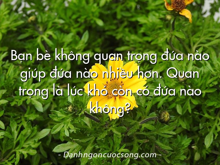 Bạn bè không quan trọng đứa nào giúp đứa nào nhiều hơn. Quan trọng là lúc khó còn có đứa nào không?