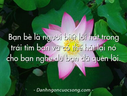 Bạn bè là người biết lời hát trong trái tim bạn và có thể hát lại nó cho bạn nghe dù bạn đã quên lời.