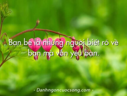 Bạn bè là những người biết rõ về bạn mà vẫn yêu bạn.