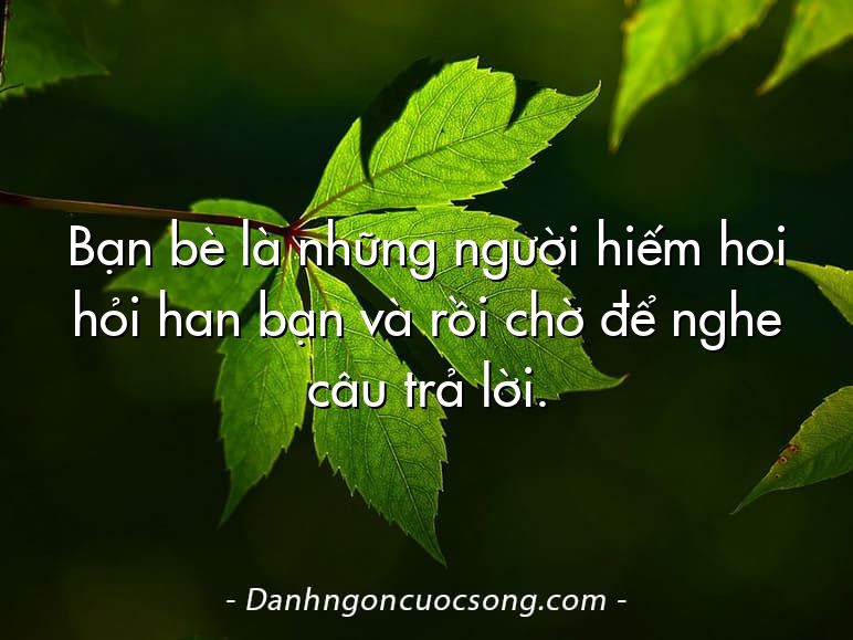 Bạn bè là những người hiếm hoi hỏi han bạn và rồi chờ để nghe câu trả lời.