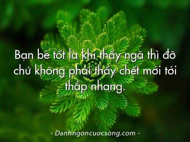 Bạn bè tốt là khi thấy ngã thì đỡ chứ không phải thấy chết mới tới thắp nhang.