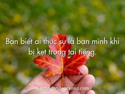 Bạn biết ai thực sự là bạn mình khi bị kẹt trong tai tiếng.