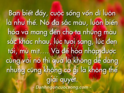Bạn biết đấy, cuộc sống vốn dĩ luôn là như thế. Nó đa sắc màu, luôn biến hóa và mang đến cho ta những màu sắc khác nhau, lúc tươi sang, lúc đen tối, mù mịt…. Và để hòa nhập được cùng với nó thì quả là không dễ dàng nhưng cũng không có gì là không thể giải quyết.