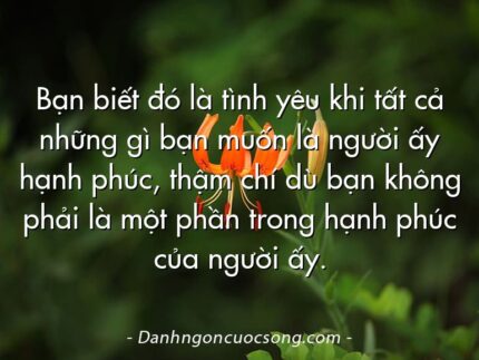 Bạn biết đó là tình yêu khi tất cả những gì bạn muốn là người ấy hạnh phúc, thậm chí dù bạn không phải là một phần trong hạnh phúc của người ấy.