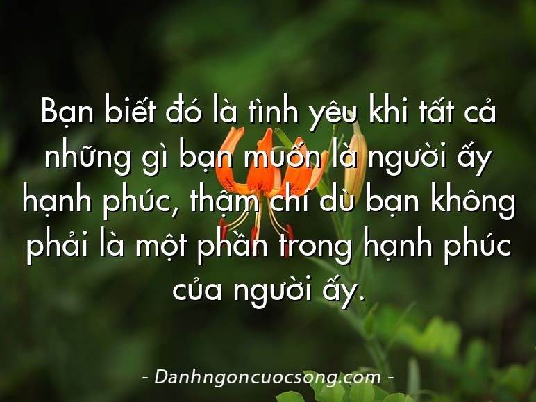 Bạn biết đó là tình yêu khi tất cả những gì bạn muốn là người ấy hạnh phúc, thậm chí dù bạn không phải là một phần trong hạnh phúc của người ấy.