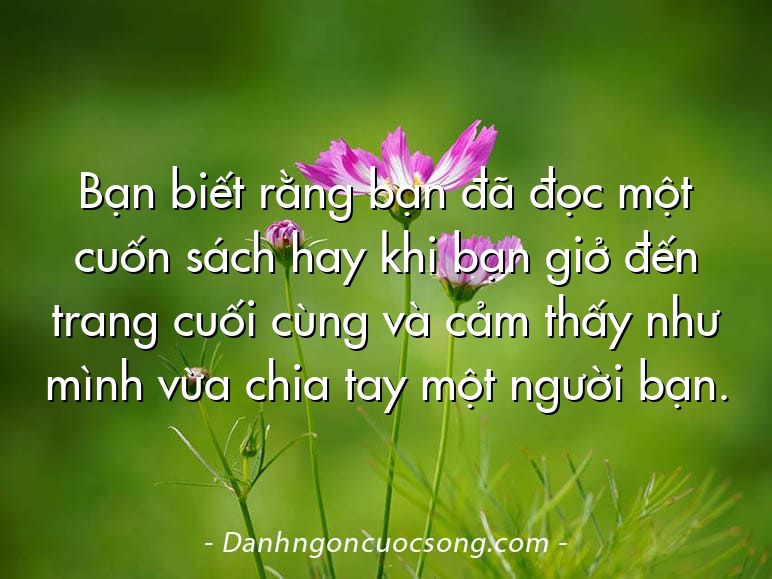 Bạn biết rằng bạn đã đọc một cuốn sách hay khi bạn giở đến trang cuối cùng và cảm thấy như mình vừa chia tay một người bạn.