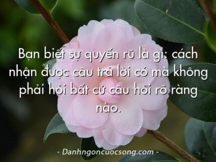 Bạn biết sự quyến rũ là gì: cách nhận được câu trả lời có mà không phải hỏi bất cứ câu hỏi rõ ràng nào.