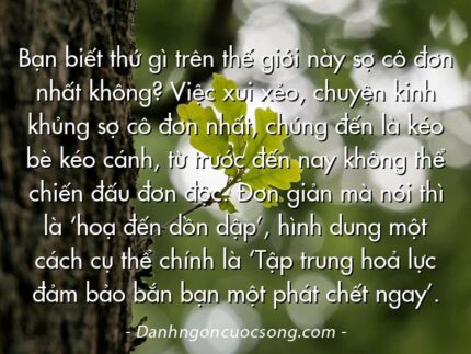 Bạn biết thứ gì trên thế giới này sợ cô đơn nhất không? Việc xui xẻo, chuyện kinh khủng sợ cô đơn nhất, chúng đến là kéo bè kéo cánh, từ trước đến nay không thể chiến đấu đơn độc. Đơn giản mà nói thì là ‘hoạ đến dồn dập’, hình dung một cách cụ thể chính là ‘Tập trung hoả lực đảm bảo bắn bạn một phát chết ngay’.