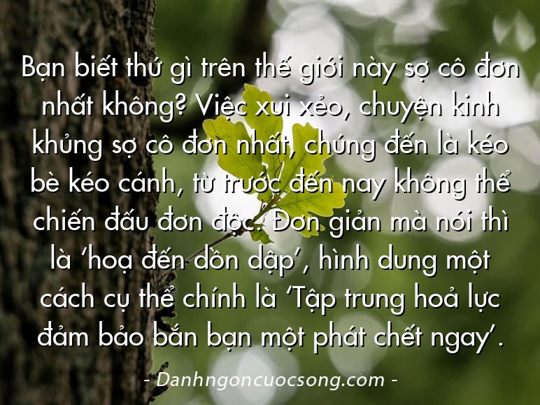 Bạn biết thứ gì trên thế giới này sợ cô đơn nhất không? Việc xui xẻo, chuyện kinh khủng sợ cô đơn nhất, chúng đến là kéo bè kéo cánh, từ trước đến nay không thể chiến đấu đơn độc. Đơn giản mà nói thì là ‘hoạ đến dồn dập’, hình dung một cách cụ thể chính là ‘Tập trung hoả lực đảm bảo bắn bạn một phát chết ngay’.