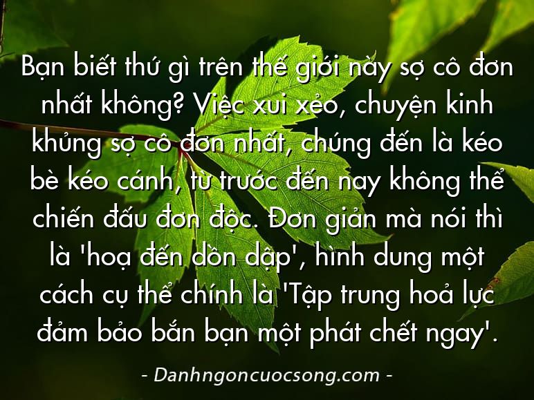 Bạn biết thứ gì trên thế giới này sợ cô đơn nhất không? Việc xui xẻo, chuyện kinh khủng sợ cô đơn nhất, chúng đến là kéo bè kéo cánh, từ trước đến nay không thể chiến đấu đơn độc. Đơn giản mà nói thì là 'hoạ đến dồn dập', hình dung một cách cụ thể chính là 'Tập trung hoả lực đảm bảo bắn bạn một phát chết ngay'.