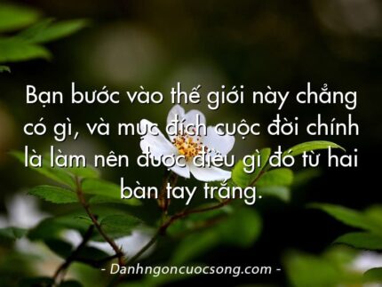 Bạn bước vào thế giới này chẳng có gì, và mục đích cuộc đời chính là làm nên được điều gì đó từ hai bàn tay trắng.