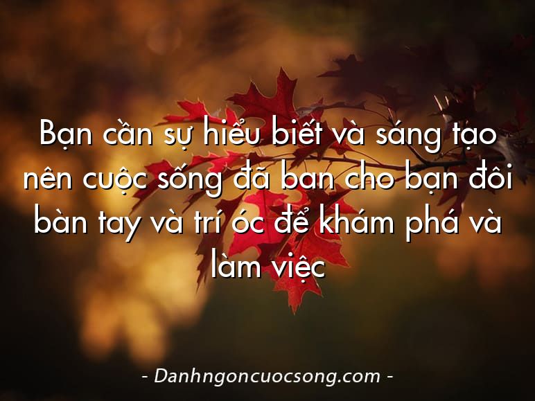 Bạn cần sự hiểu biết và sáng tạo nên cuộc sống đã ban cho bạn đôi bàn tay và trí óc để khám phá và làm việc