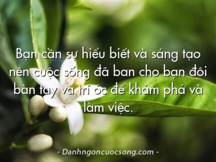 Bạn cần sự hiểu biết và sáng tạo nên cuộc sống đã ban cho bạn đôi bàn tay và trí óc để khám phá và làm việc.