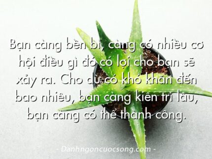 Bạn càng bền bỉ, càng có nhiều cơ hội điều gì đó có lợi cho bạn sẽ xảy ra. Cho dù có khó khăn đến bao nhiêu, bạn càng kiên trì lâu, bạn càng có thể thành công.