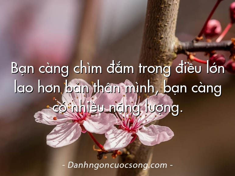 Bạn càng chìm đắm trong điều lớn lao hơn bản thân mình, bạn càng có nhiều năng lượng.
