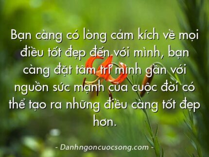 Bạn càng có lòng cảm kích về mọi điều tốt đẹp đến với mình, bạn càng đặt tâm trí mình gần với nguồn sức mạnh của cuộc đời có thể tạo ra những điều càng tốt đẹp hơn.