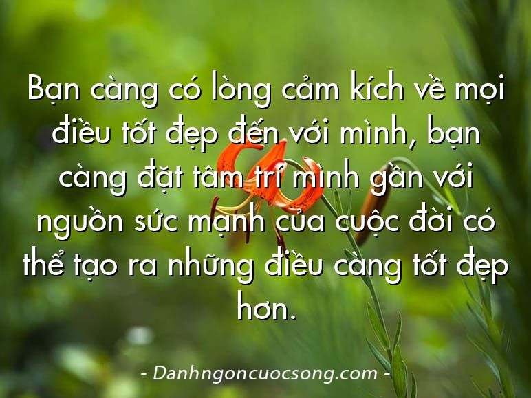 Bạn càng có lòng cảm kích về mọi điều tốt đẹp đến với mình, bạn càng đặt tâm trí mình gần với nguồn sức mạnh của cuộc đời có thể tạo ra những điều càng tốt đẹp hơn.