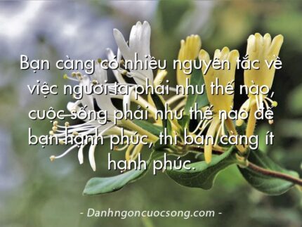 Bạn càng có nhiều nguyên tắc về việc người ta phải như thế nào, cuộc sống phải như thế nào để bạn hạnh phúc, thì bạn càng ít hạnh phúc.