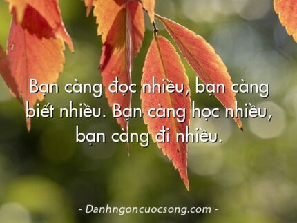 Bạn càng đọc nhiều, bạn càng biết nhiều. Bạn càng học nhiều, bạn càng đi nhiều.