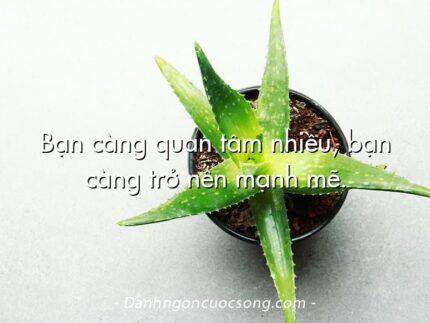 Bạn càng quan tâm nhiều, bạn càng trở nên mạnh mẽ.