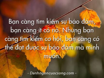 Bạn càng tìm kiếm sự bảo đảm, bạn càng ít có nó. Nhưng bạn càng tìm kiếm cơ hội, bạn càng có thể đạt được sự bảo đảm mà mình muốn.