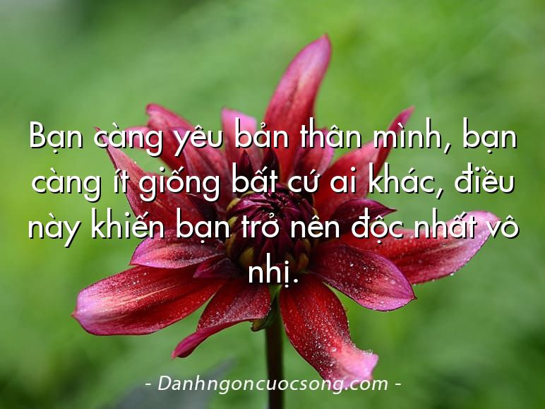 Bạn càng yêu bản thân mình, bạn càng ít giống bất cứ ai khác, điều này khiến bạn trở nên độc nhất vô nhị.