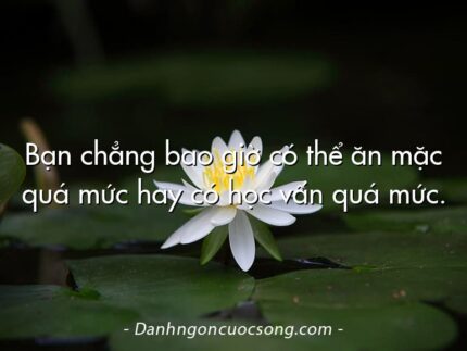 Bạn chẳng bao giờ có thể ăn mặc quá mức hay có học vấn quá mức.