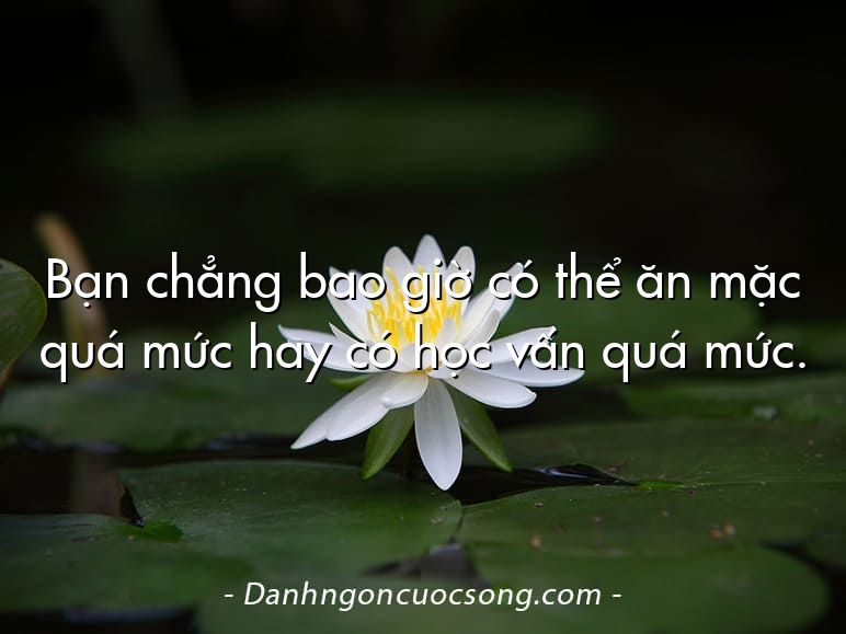 Bạn chẳng bao giờ có thể ăn mặc quá mức hay có học vấn quá mức.