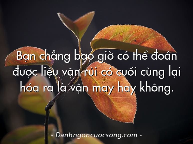 Bạn chẳng bao giờ có thể đoán được liệu vận rủi có cuối cùng lại hóa ra là vận may hay không.