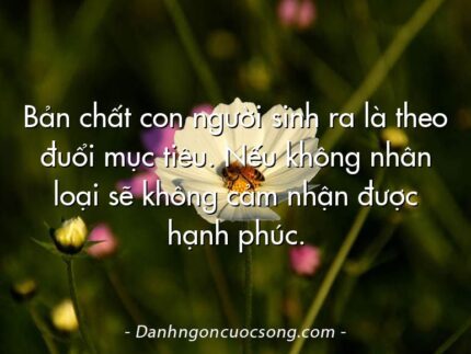 Bản chất con người sinh ra là theo đuổi mục tiêu. Nếu không nhân loại sẽ không cảm nhận được hạnh phúc.
