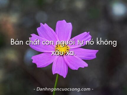 Bản chất con người tự nó không xấu xa.