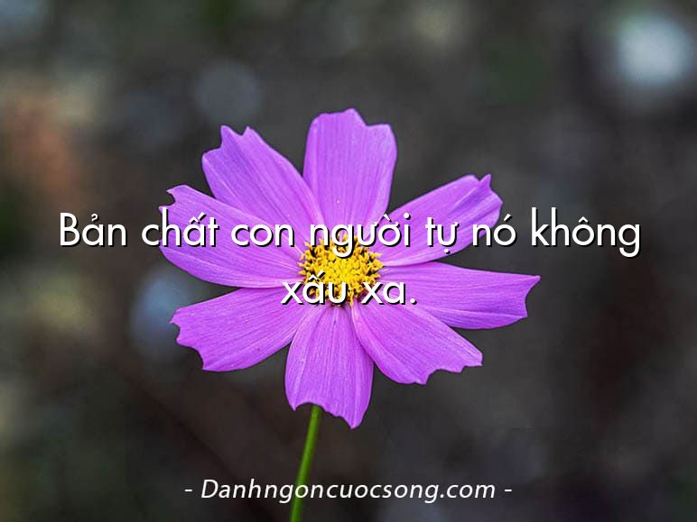 Bản chất con người tự nó không xấu xa.
