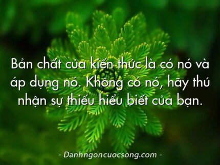 Bản chất của kiến thức là có nó và áp dụng nó. Không có nó, hãy thú nhận sự thiếu hiểu biết của bạn.