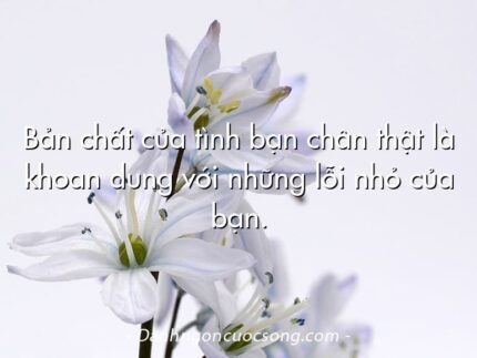 Bản chất của tình bạn chân thật là khoan dung với những lỗi nhỏ của bạn.