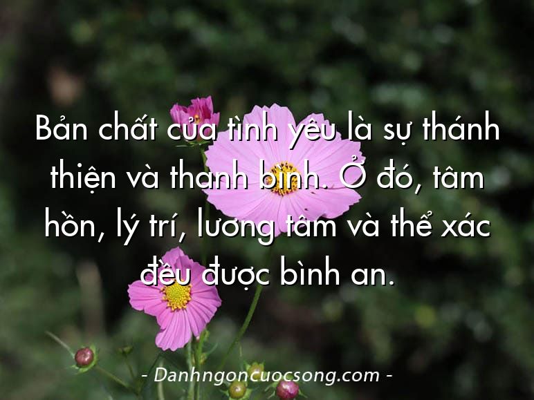 Bản chất của tình yêu là sự thánh thiện và thanh bình. Ở đó, tâm hồn, lý trí, lương tâm và thể xác đều được bình an.