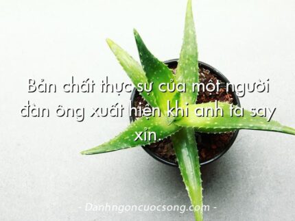 Bản chất thực sự của một người đàn ông xuất hiện khi anh ta say xỉn.
