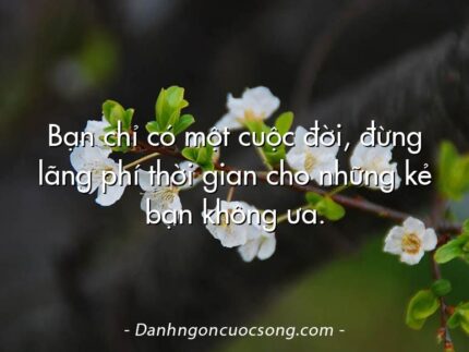 Bạn chỉ có một cuộc đời, đừng lãng phí thời gian cho những kẻ bạn không ưa.