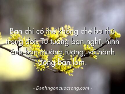 Bạn chỉ có thể khống chế ba thứ trong đời. Tư tưởng bạn nghĩ, hình ảnh bạn mường tượng, và hành động bạn làm.