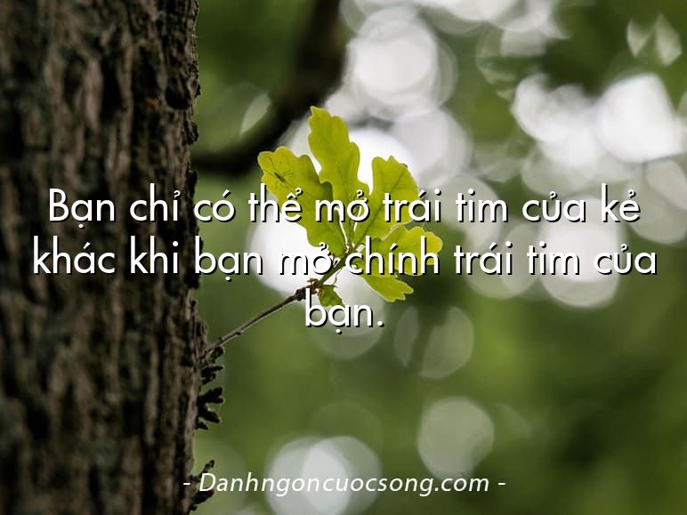 Bạn chỉ có thể mở trái tim của kẻ khác khi bạn mở chính trái tim của bạn.