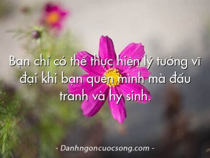 Bạn chỉ có thể thực hiện lý tưởng vĩ đại khi bạn quên mình mà đấu tranh và hy sinh.