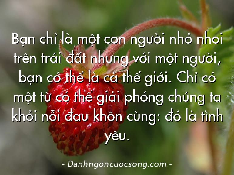 Bạn chỉ là một con người nhỏ nhoi trên trái đất nhưng với một người, bạn có thể là cả thế giới. Chỉ có một từ có thể giải phóng chúng ta khỏi nỗi đau khôn cùng: đó là tình yêu.