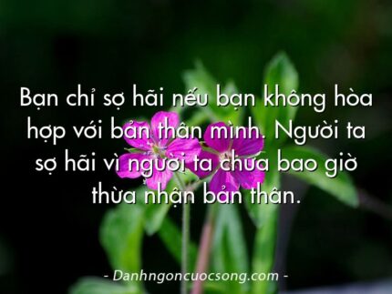 Bạn chỉ sợ hãi nếu bạn không hòa hợp với bản thân mình. Người ta sợ hãi vì người ta chưa bao giờ thừa nhận bản thân.