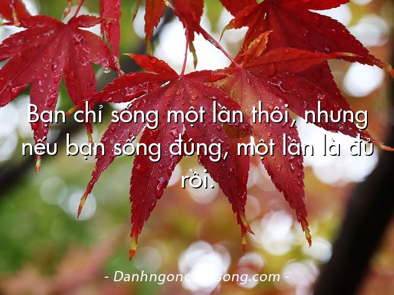 Bạn chỉ sống một lần thôi, nhưng nếu bạn sống đúng, một lần là đủ rồi.